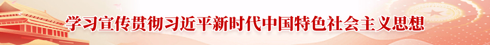 学习宣传贯彻习近平新时代中国特色社会主义思想
