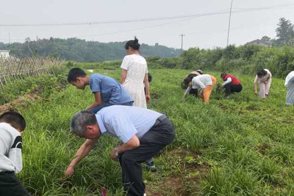 【银龄力量】鼎城区：银发初心映童心 代际共育促振兴