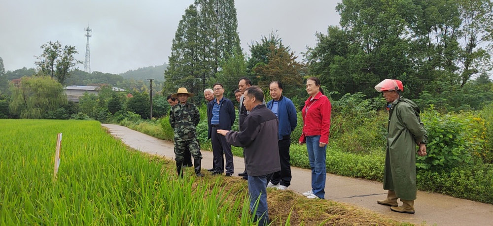 01 老科协银发工作站深入合作社农田提供技术指导