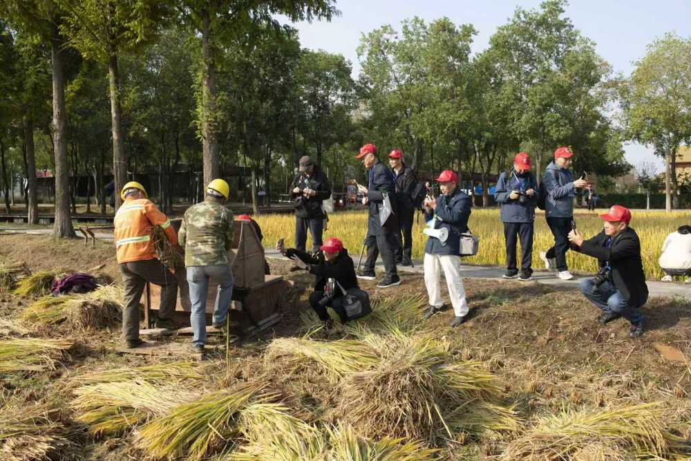 微信图片_20260107153104