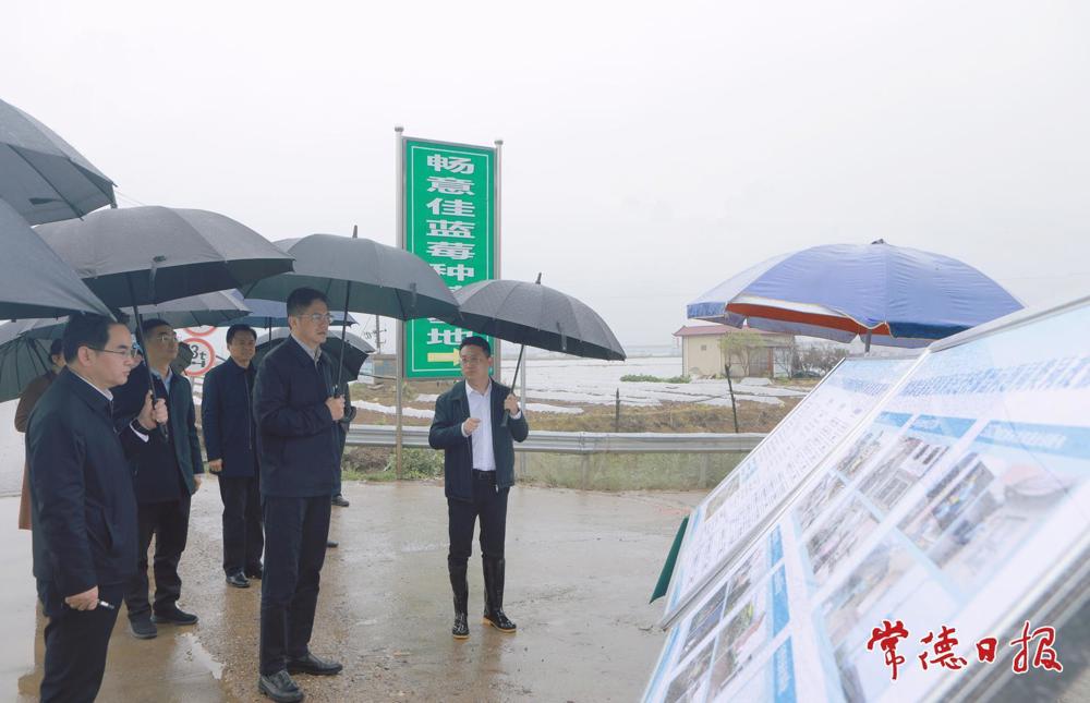 罗毅君在汉寿县调研春耕备耕、银发经济等工作